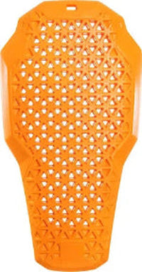 Rugbeschermer
